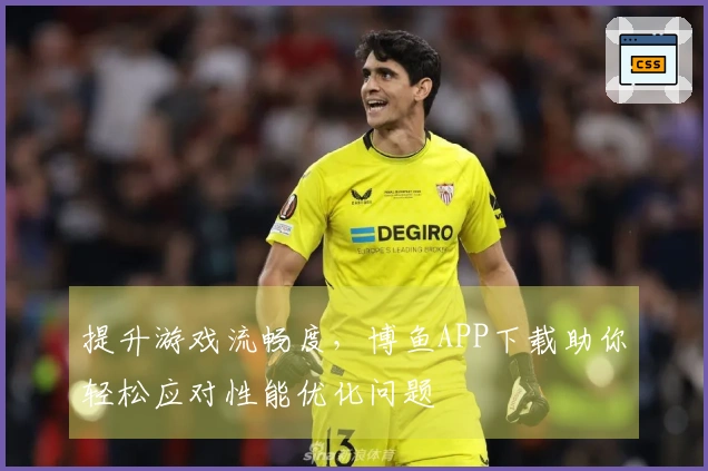 提升游戏流畅度，博鱼APP下载助你轻松应对性能优化问题