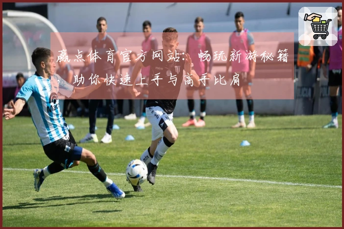 赢点体育官方网站：畅玩新游秘籍，助你快速上手与高手比肩