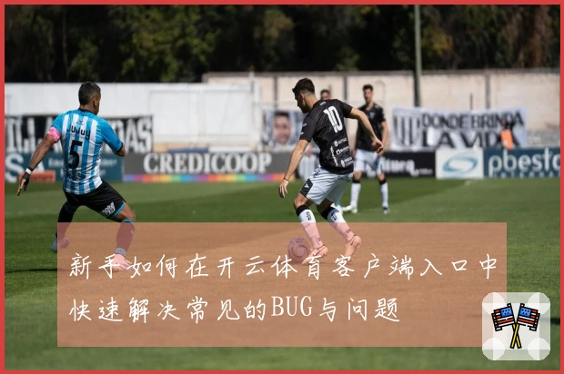 新手如何在开云体育客户端入口中快速解决常见的BUG与问题