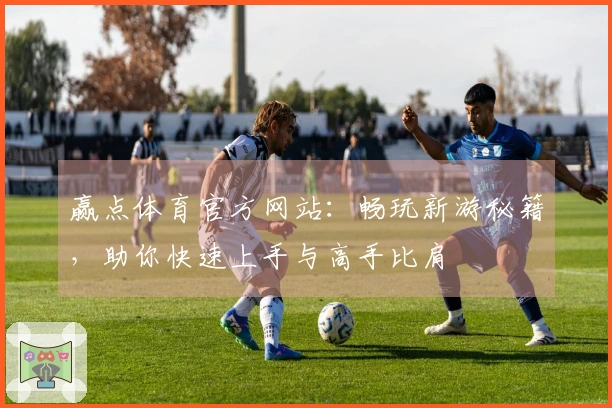 赢点体育官方网站：畅玩新游秘籍，助你快速上手与高手比肩